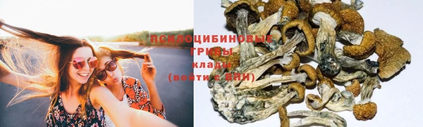 прущая мука Алзамай
